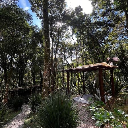 Refugio Familiar Em Monte Verde مونتي فيردي المظهر الخارجي الصورة
